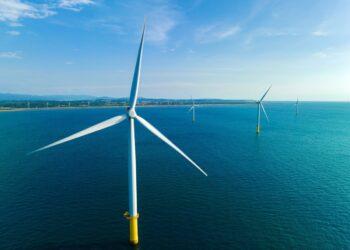 和平_台西風場_成功個案素材_S