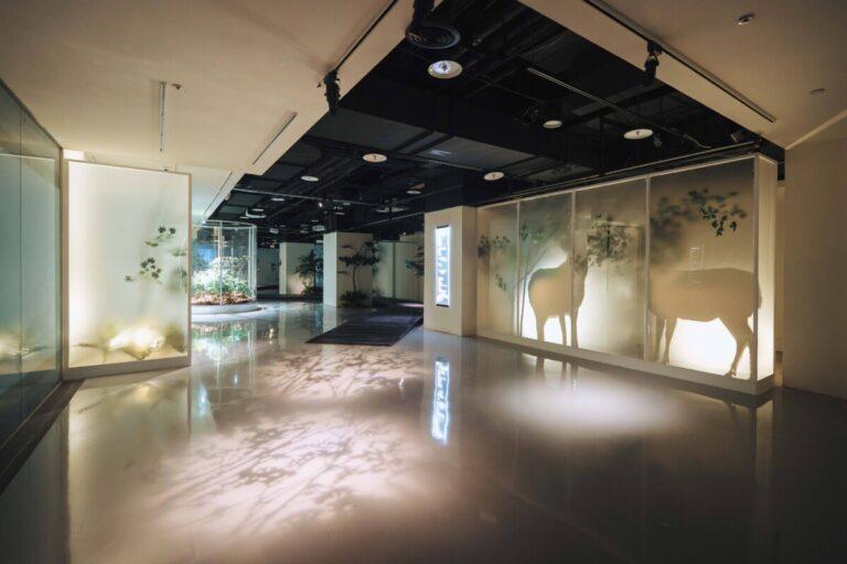 圖5 萬物之光展區