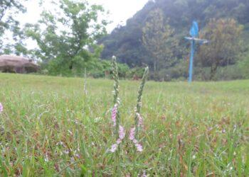 78d2dc3f-fc4e-4fd1-8ea7-c9fb178f830a