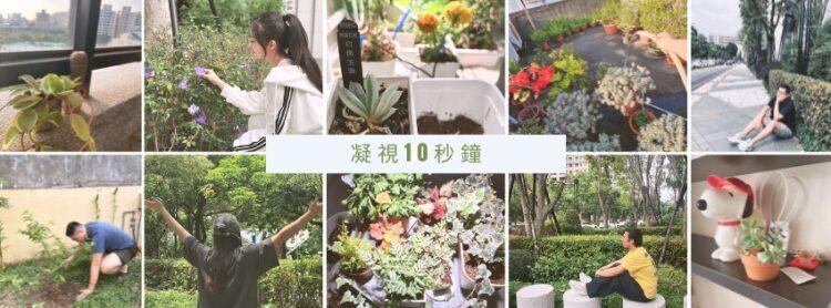 10秒鐘凝視身邊的綠植