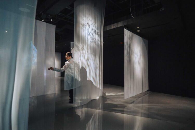 圖3 創世之光展區