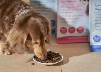 圖說：面對飼主對於寵糧品質的徬徨不安，倍力秉持公開透明的態度把關，與毛孩爸媽們站在同一陣線，以最高標準對待所有毛孩家庭最柔軟的心。（資料來源：倍力寵物健康食品）