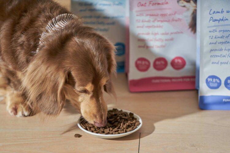 圖說:面對飼主對於寵糧品質的徬徨不安,倍力秉持公開透明的態度把關,與毛孩爸媽們站在同一陣線,以最高標準對待所有毛孩家庭最柔軟的心。(資料來源:倍力寵物健康食品)