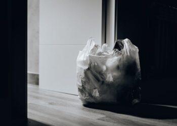 pexels-juanpphotoandvideo-1549528