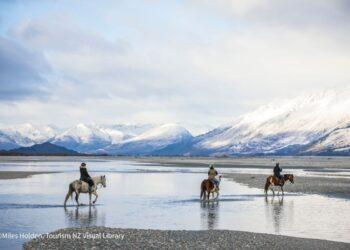 今年，就讓FineDayClub陪你們飛往涼爽的紐西蘭