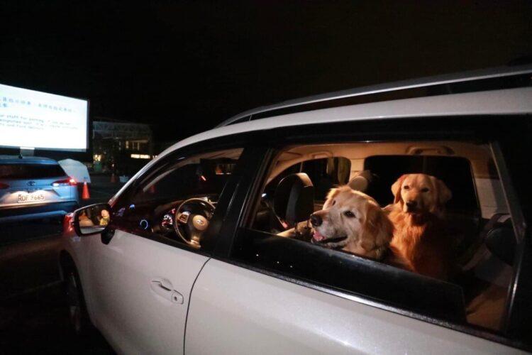 寵物家庭享折扣