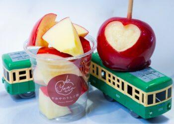 螢幕快照 2025-06-10 下午5.01.31