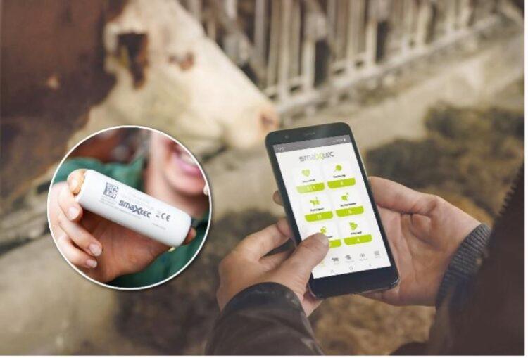 smaXtec智慧型生物膠囊內建艾邁斯歐司朗AS6221感測器