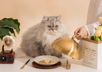 圖說：尾巴丘全新推出「Star Mont 星丘」6款主食罐，打開能看見絲絲分明的真實肉感，浸潤鮮美雞汁或魚湯中，讓貓咪吃飯輕鬆補水。（資料來源：尾巴丘毛孩選物）