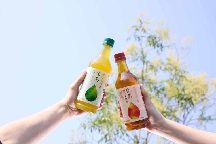 期間限定!KIRIN「生茶心意解籤所」 用茶香召喚好運