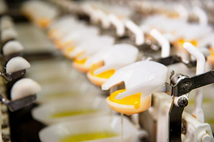 圖說:勤億蛋品科技嘉義總廠擴充產線,7月完工試運轉,導入最新的丹麥智能打蛋機等設備,全面智慧升級,整體產能躍升150%。(資料來源:勤億蛋品科技)