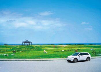 (主要)藍天草地