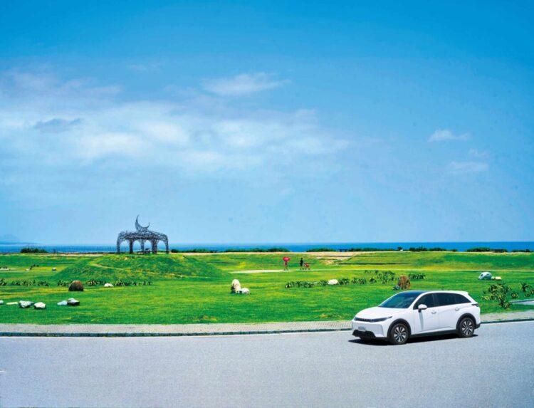 (主要)藍天草地