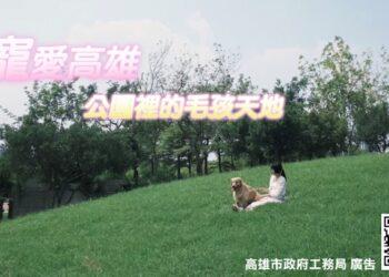 寵物公園新聞圖片