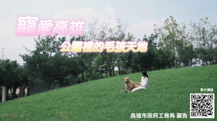 寵物公園新聞圖片