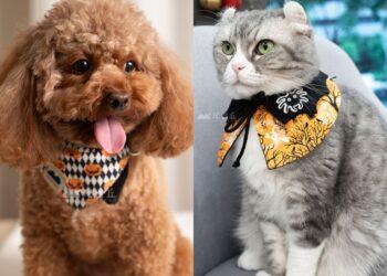 圖說：萬聖節毛孩扮裝，超前部署才是王道！尾巴丘3款領巾新品，寵物展開放預購，另外還有「獨家隱藏款」只在展場曝光。（資料來源：尾巴丘）