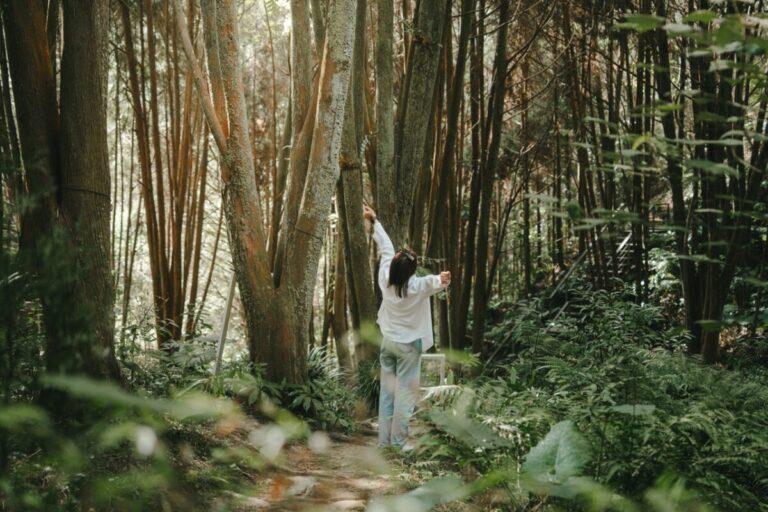 大薰衣草森林兩天一夜雙人體驗券3,499元起