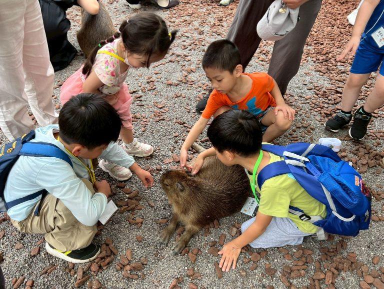 我們的動物園遊記