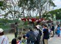 我們的動物園遊記