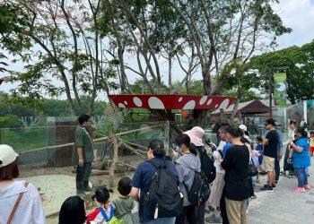 我們的動物園遊記