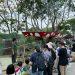 我們的動物園遊記