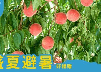 武陵富野渡假村202606盛夏避暑好禮贈訂房優惠專案