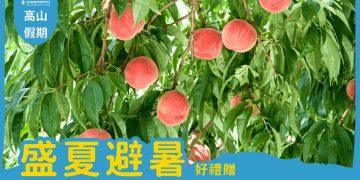 武陵富野渡假村202606盛夏避暑好禮贈訂房優惠專案