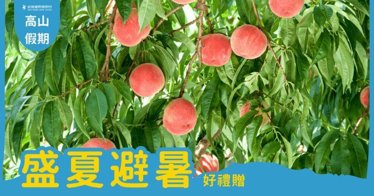 武陵富野渡假村202606盛夏避暑好禮贈訂房優惠專案